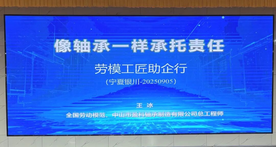 Wang Bing at the technical assistance event